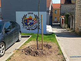 DAN PLANETA ZEMLJE